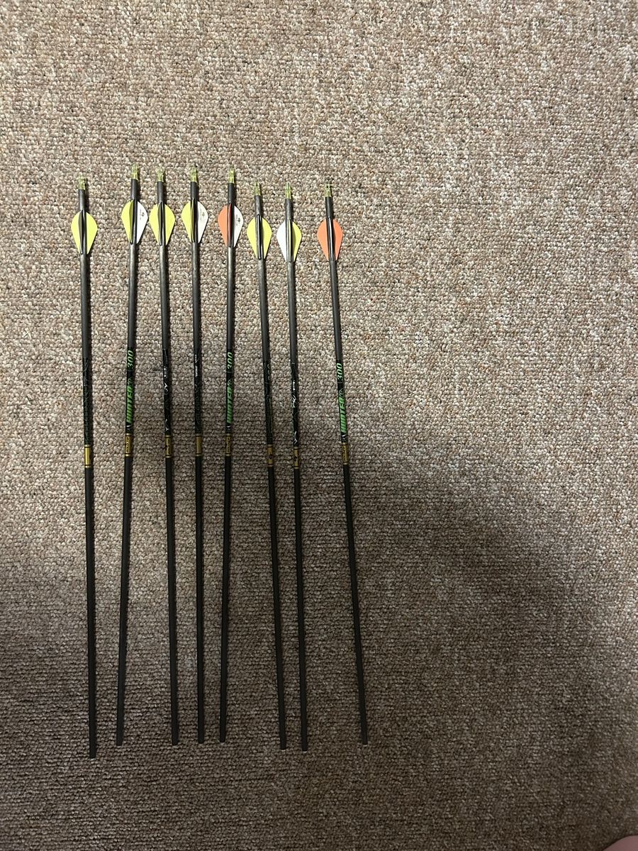 8 Goldtip Hunter XT