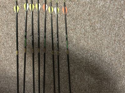 8 Goldtip Hunter XT