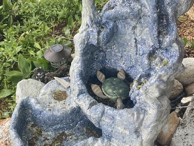 3 tier -Waterfall pond