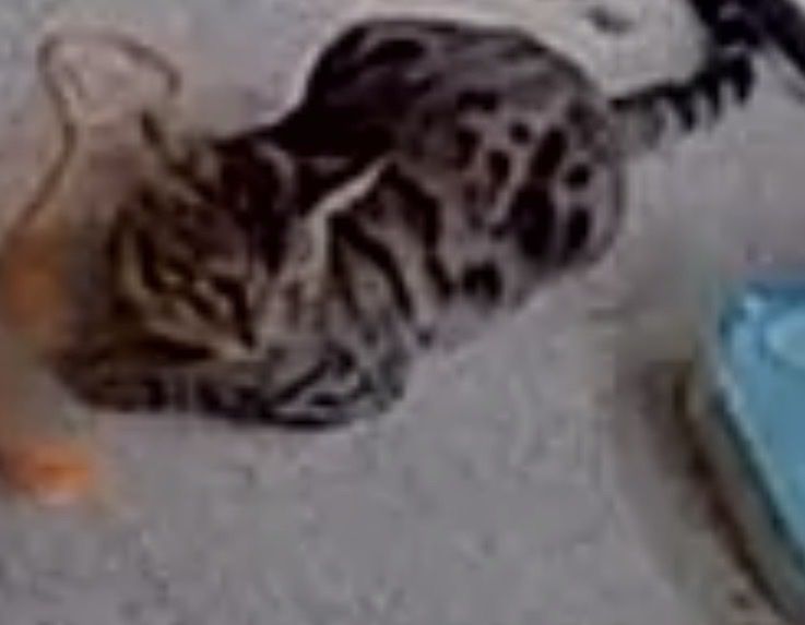 Main image 2