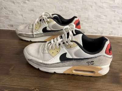 Mens Nike Air Max Shoes