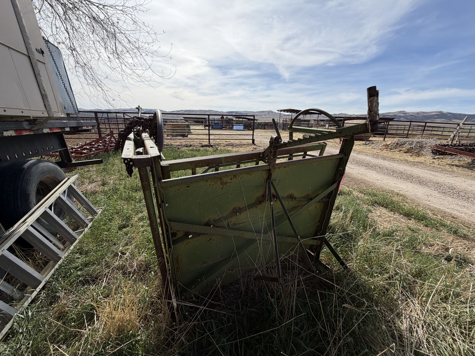Calf chute