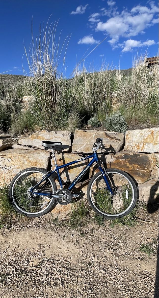 Cannondale Comfort 600 Hybrid, large frame, front shocks