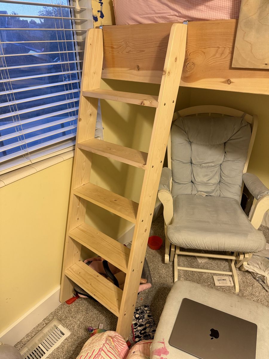 Kids bunk ladder