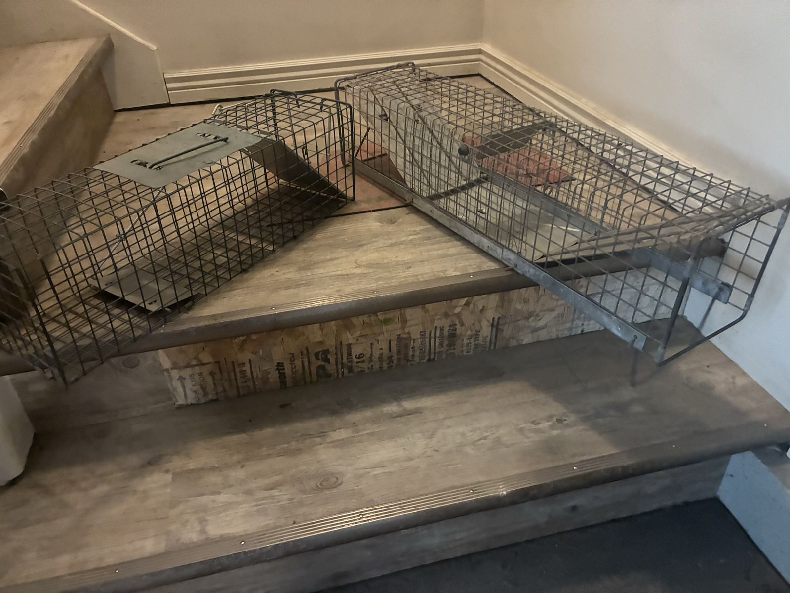 Live Animal Wire Cage Traps - Pest Traps