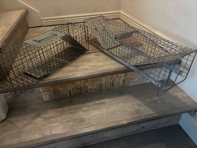 Live Animal Wire Cage Traps - Pest Traps