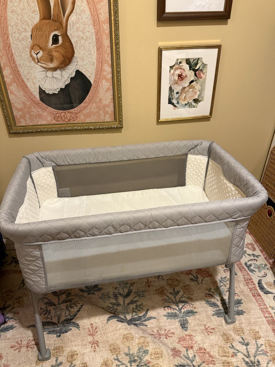 Air Club Baby Bassinet W/ Storage Case And Straps