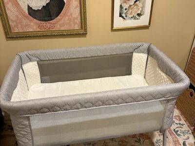 Air Club Baby Bassinet W/ Storage Case And Straps