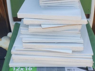50+ artist canvases