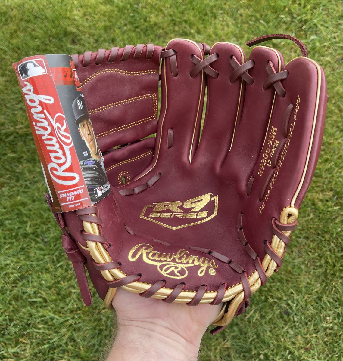 Rawlings R9 12 in. Baseball Glove