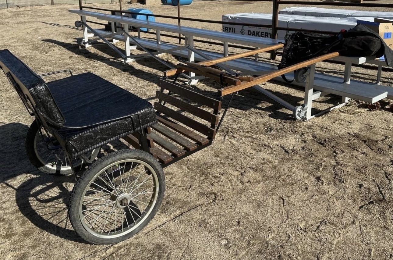 Pony cart