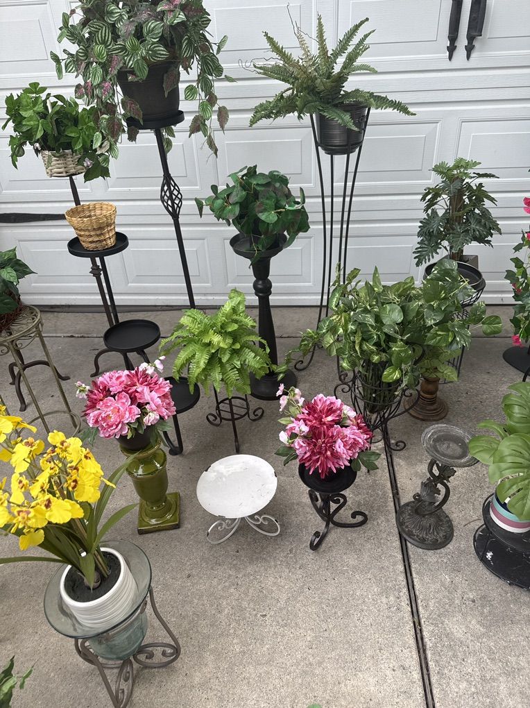 Main image 3