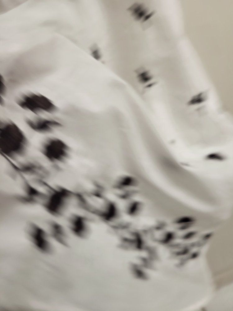 Main image 4