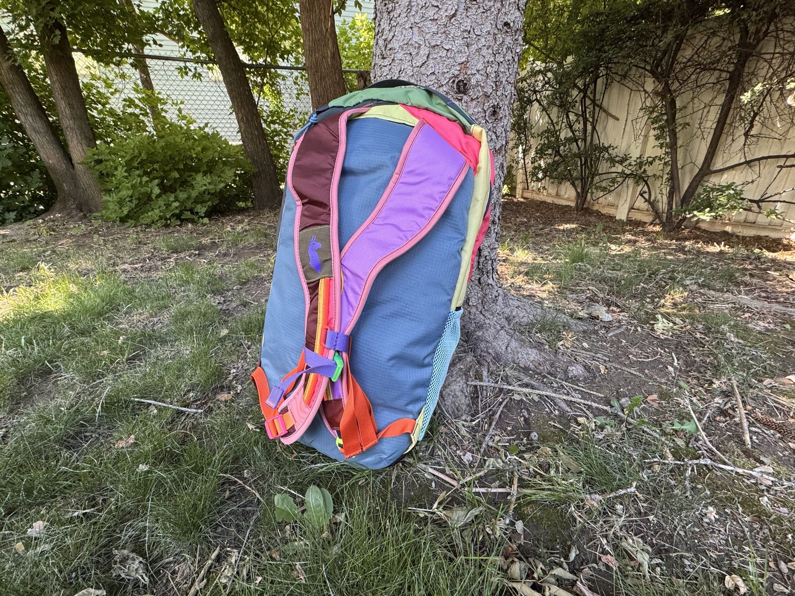 Main image 3