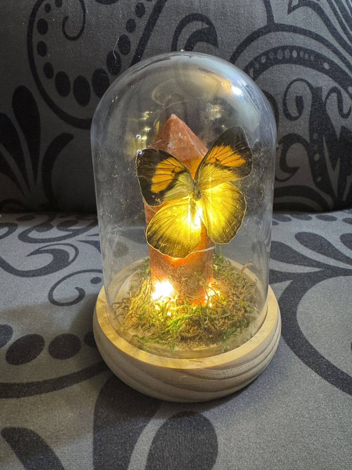 Crystal Butterfly Art Lights Up