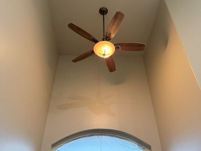 Ceiling fans