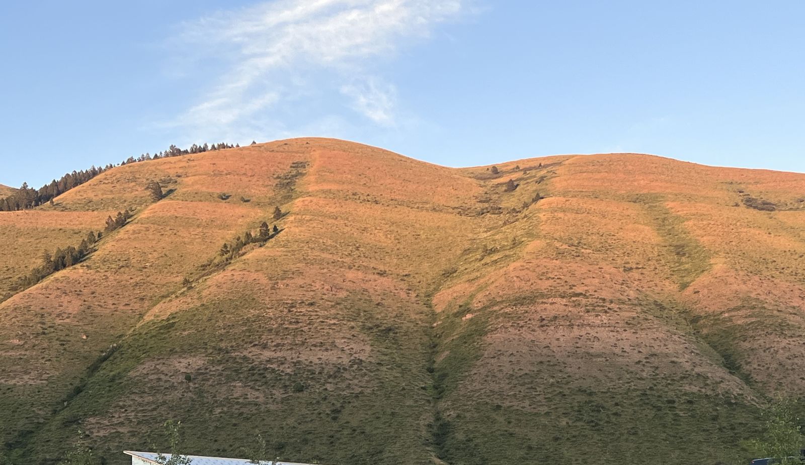 AFTON RESIDENTIAL BUILDING LOT HONEY BEE MEADOWS #13