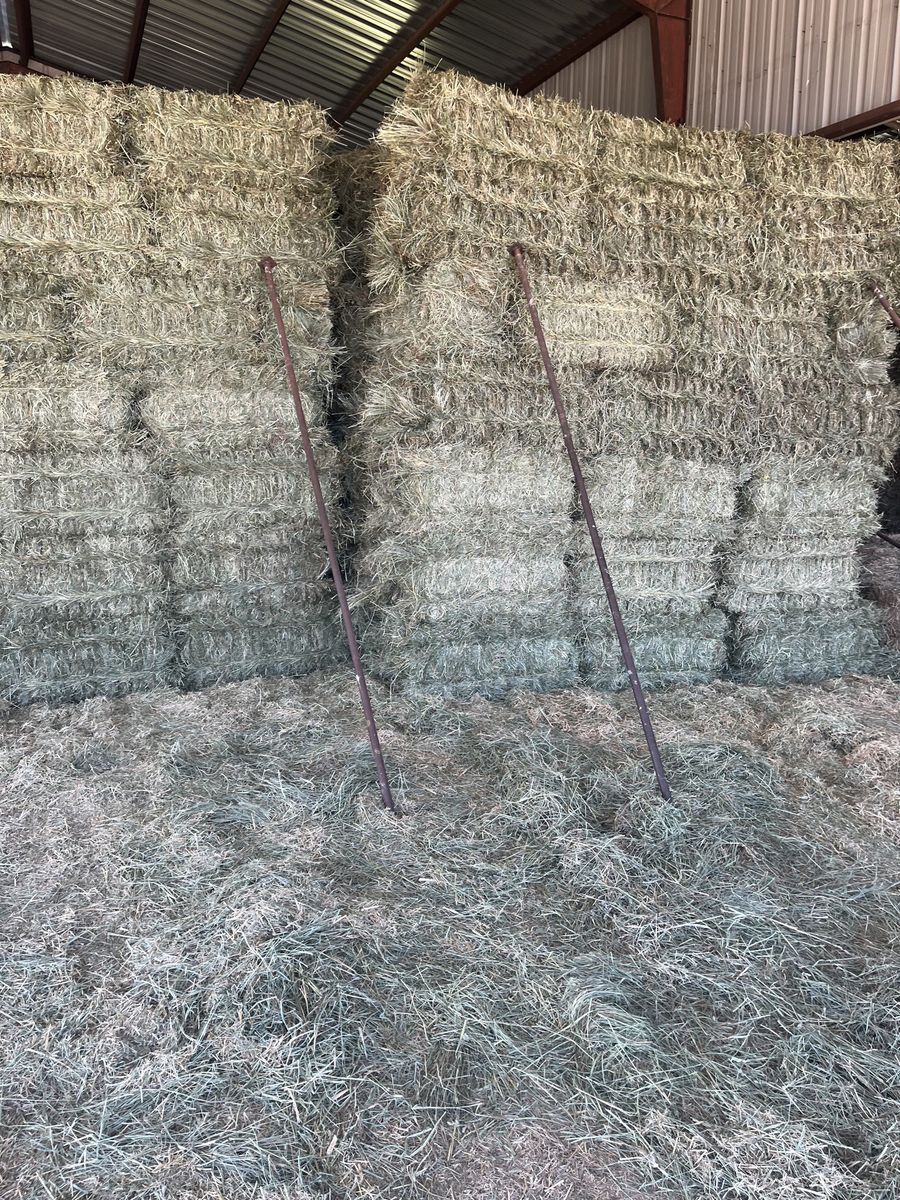 Small grass bales $12.00 a bale