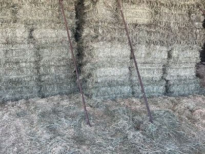 Small grass bales $12.00 a bale