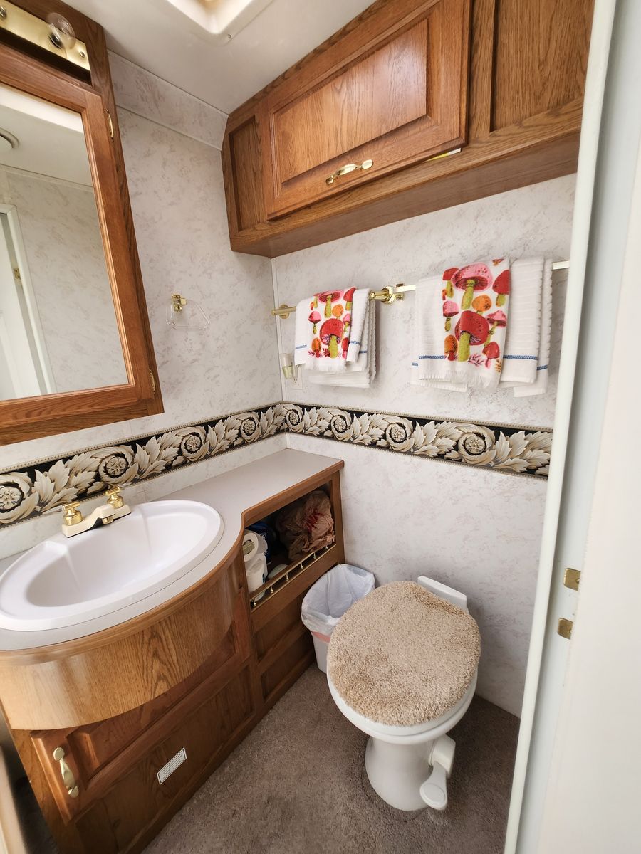 Main image 11