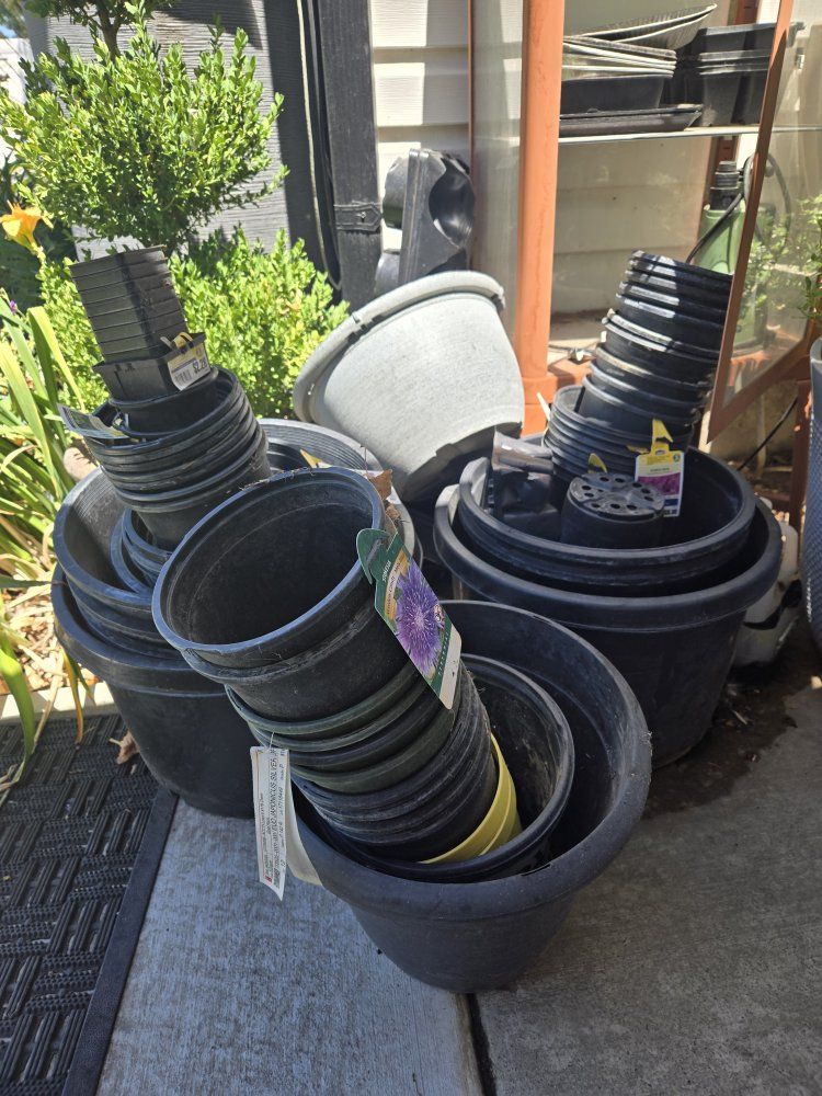 Nursery Plant Pots - Various Sizes