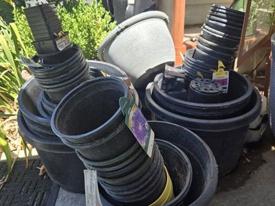 Nursery Plant Pots - Various Sizes