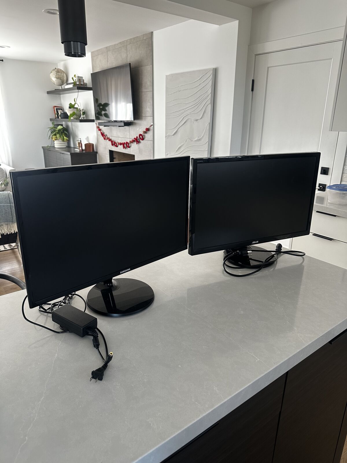 2- 24" Monitors