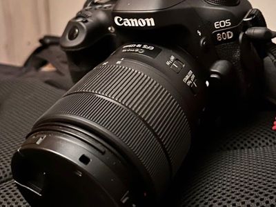 80D , 18-135mm nano, 85mm 1.8