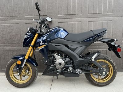 2023 Kawasaki Z125 PRO
