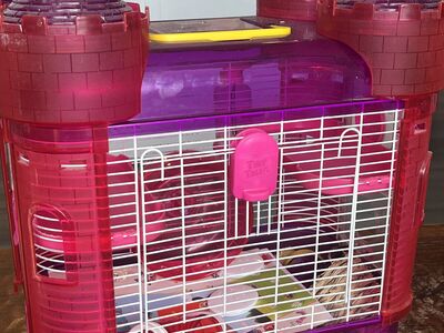 Hamster cage castle