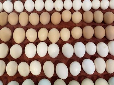 Farm Fresh Eggs