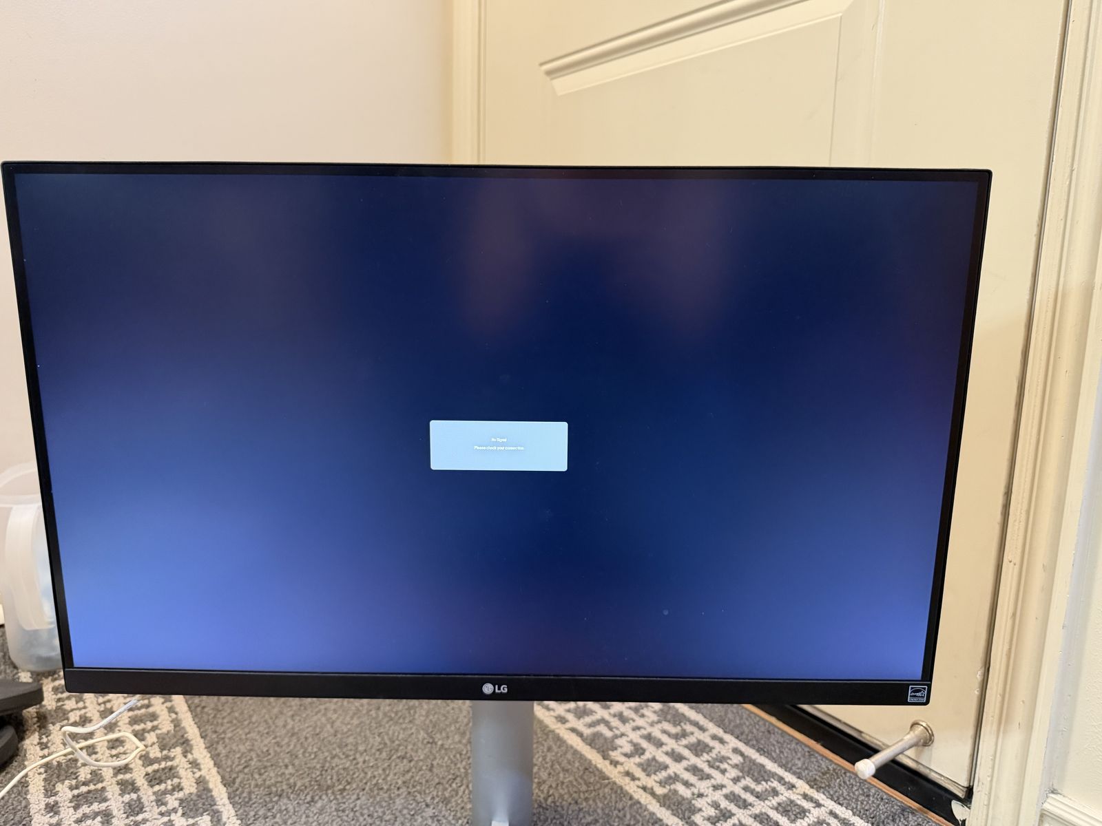 LG Computer Monitor
