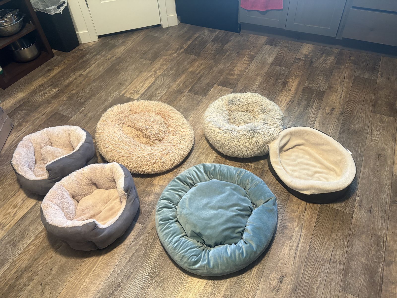 Puppy Beds