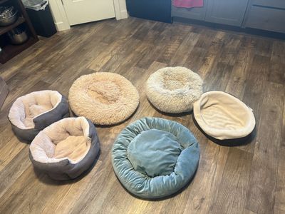 Puppy Beds