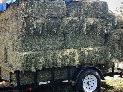55 Bales Top Quality Alfalfa DELIVERY Second Crop