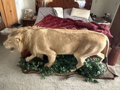 Huge yard sale!