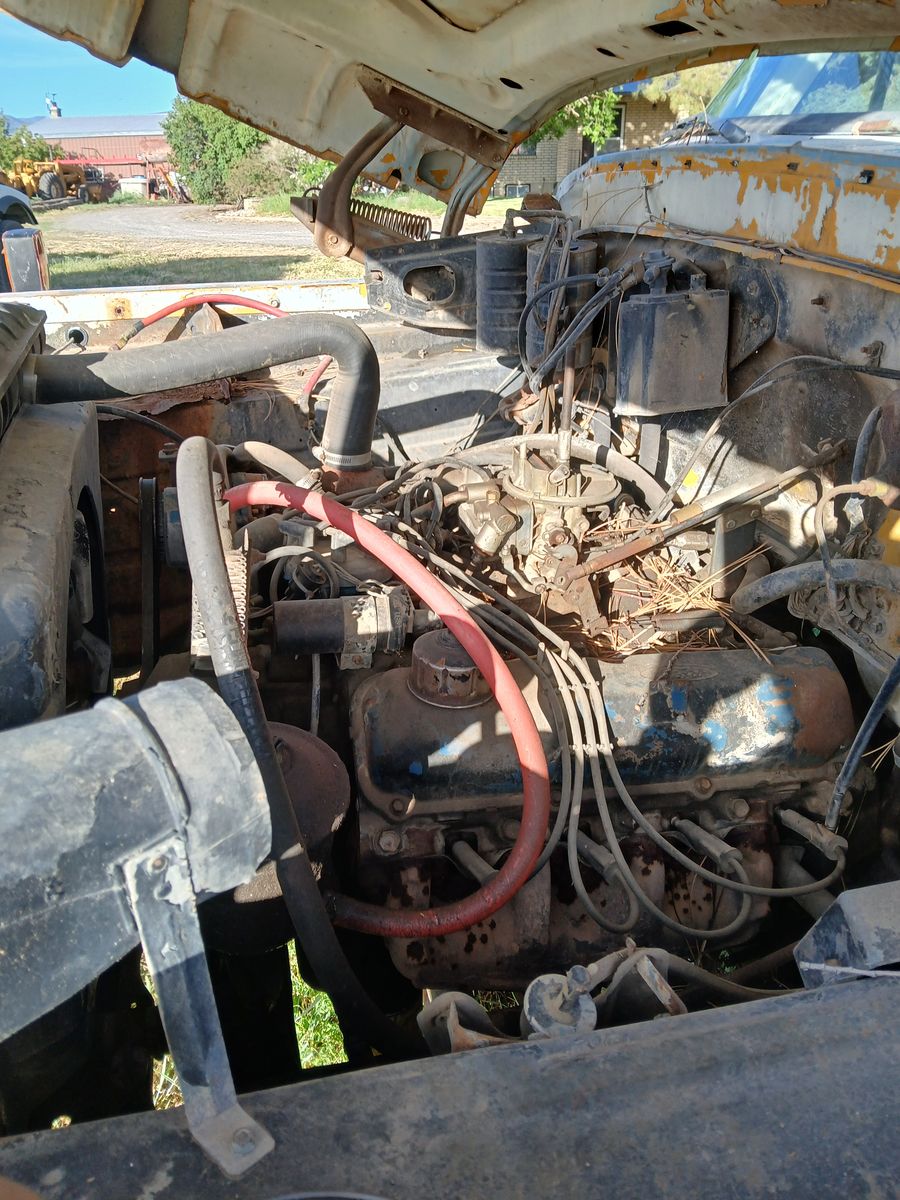 Main image 3