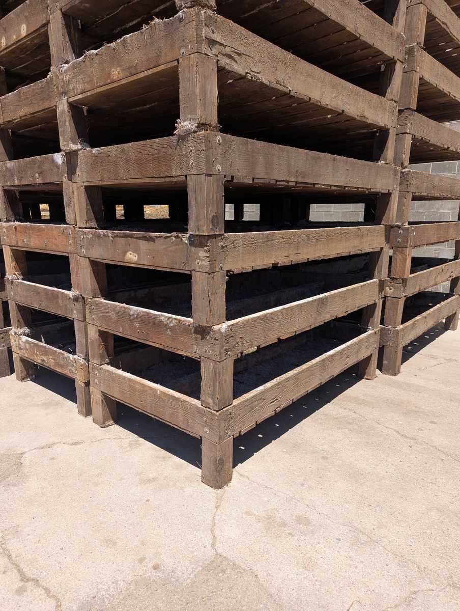 Mushroom Growing Trays