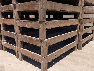 Mushroom Growing Trays