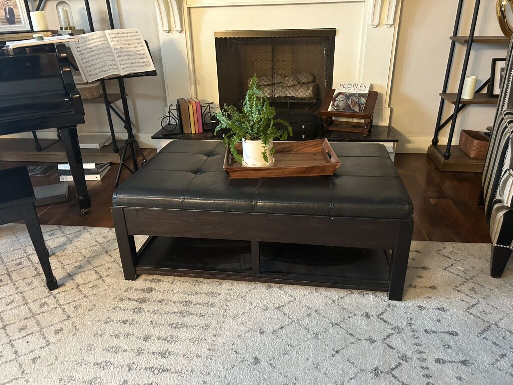 Ottoman/coffee Table