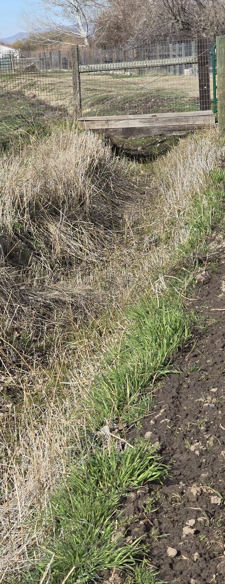 IRRIGATION DITCH CLEANING AND MAINTENANCE