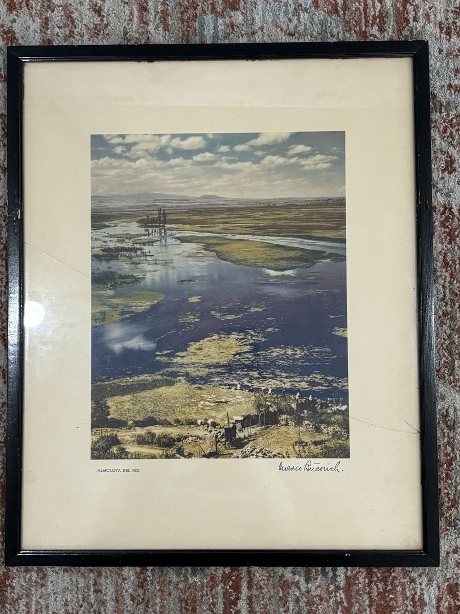 Main image 6