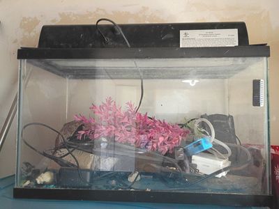 fish, tanks and supplies