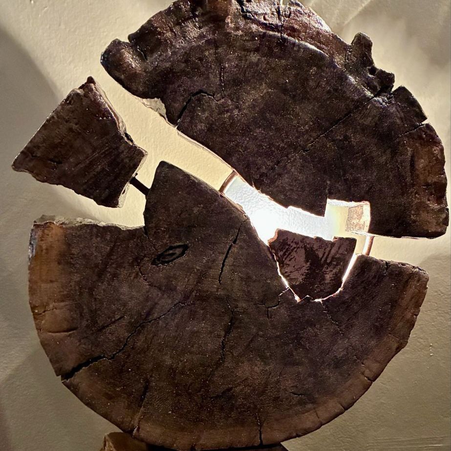 Handcrafted Live Edge Wood Lamp - Unique Rustic Table Decor
