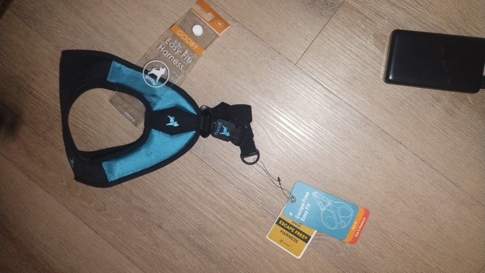Gooby Easy Fit Escape Free Dog Harness - Teal/Black, Size Medium, No-Pull Design