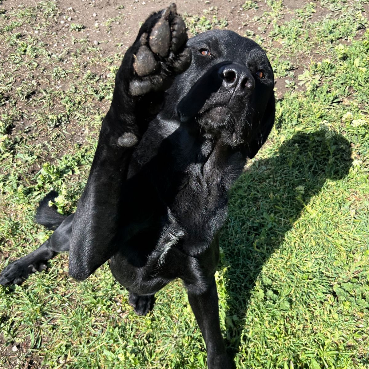 Zeus