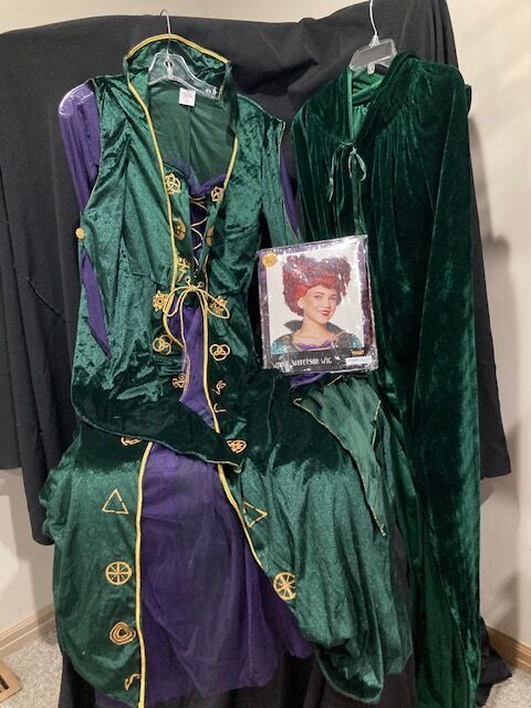 Hocus Pocus WINIFRED SANDERSON Set... (Cape and Wig included)    $50