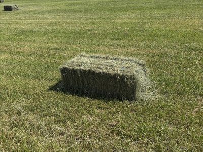Beautiful Small Grass Hay Bales