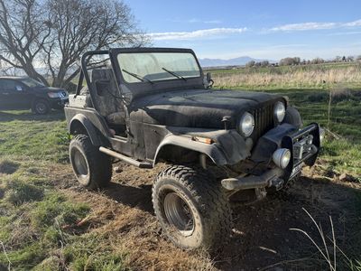 1981 Jeep CJ-5 Base