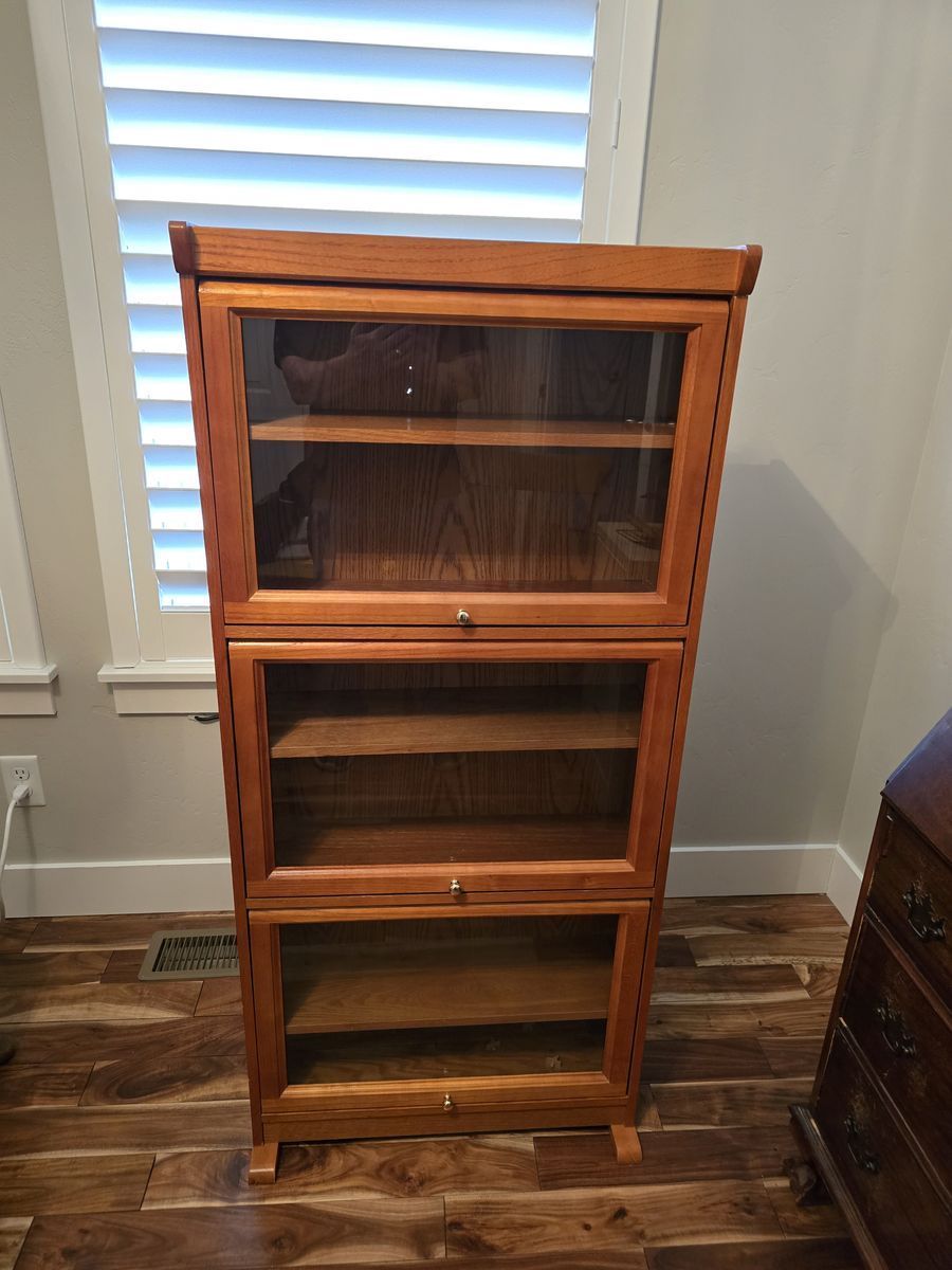 Book Shelf with Doors